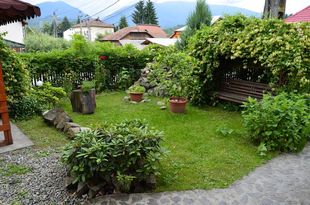 Gasthof Pensiunea Colt De Munte 3*
